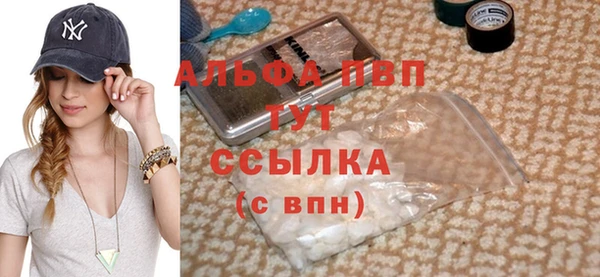 дживик Белокуриха
