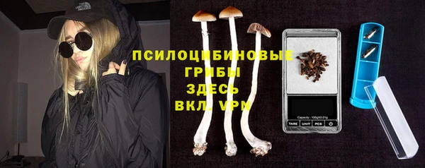 дживик Белокуриха