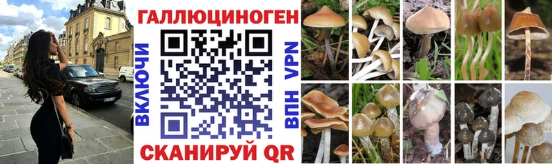 МЕГА как войти  Берёзовский  Галлюциногенные грибы Psilocybine cubensis 